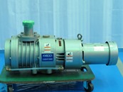 Roots Vacuum Pump